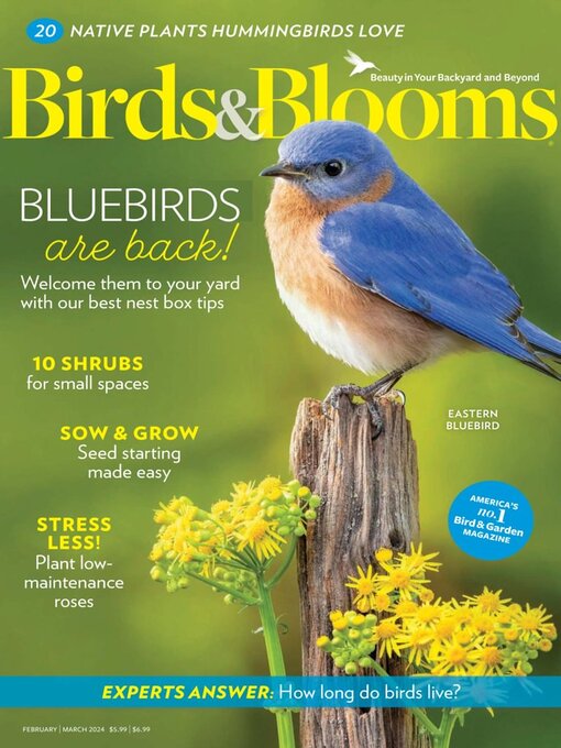 Title details for Birds & Blooms by Trusted Media Brands Inc. - Available